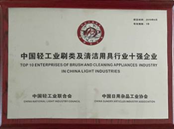 中国轻工业协会十强企业